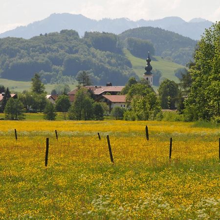 Ferienwohnungen Im Alpengaestehaus Marzoll - Bad Reichenhall Extérieur photo
