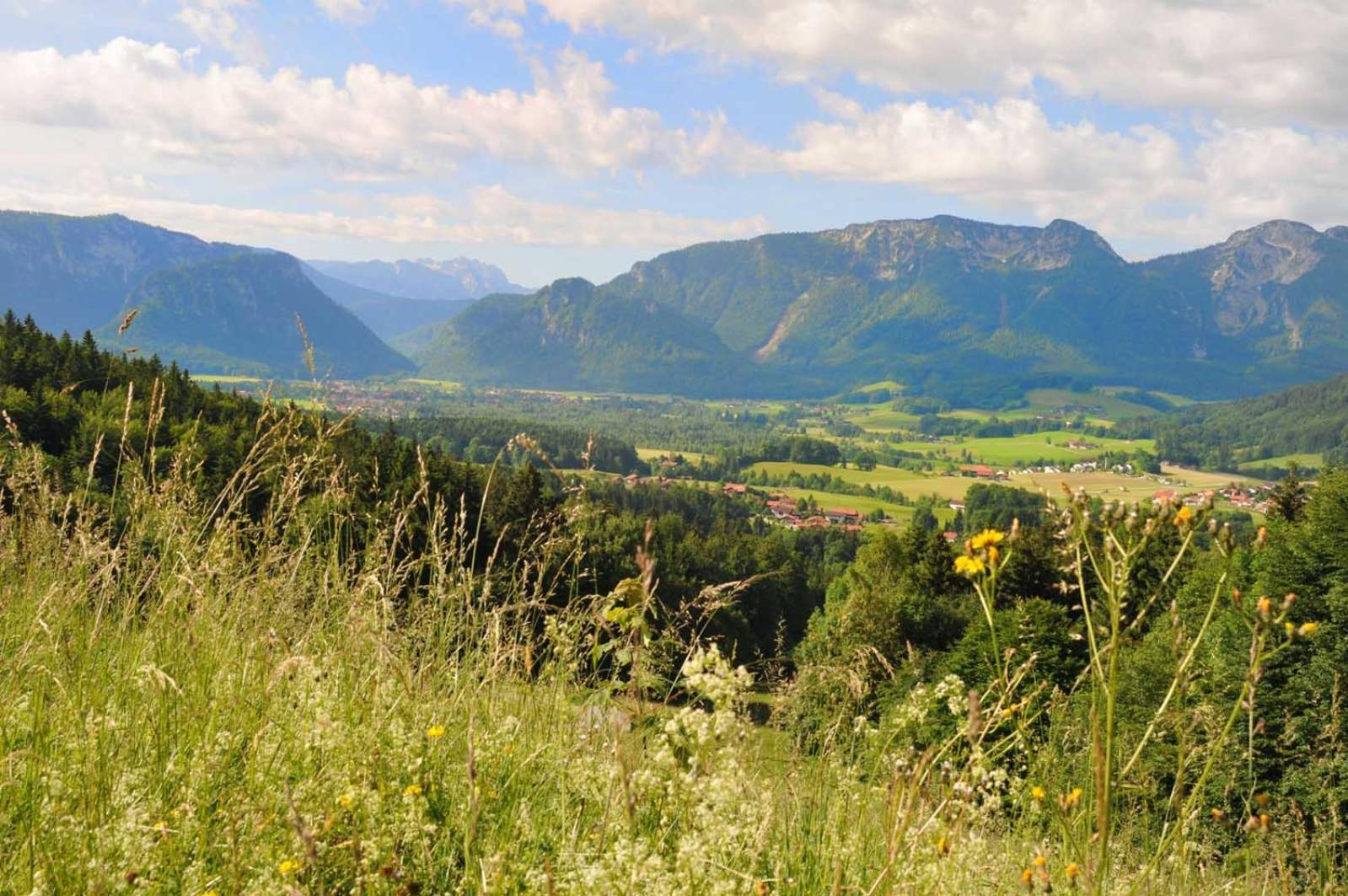 Ferienwohnungen Im Alpengaestehaus Marzoll - Bad Reichenhall Extérieur photo
