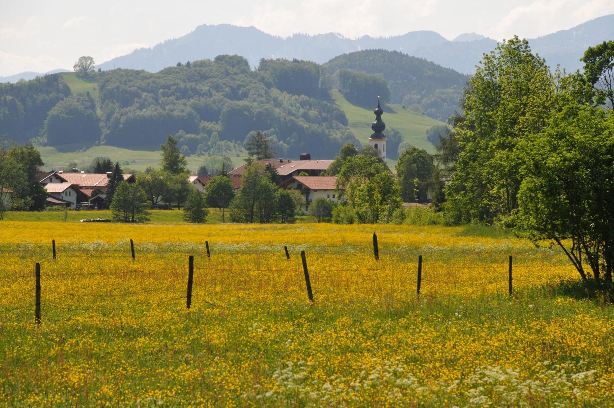 Ferienwohnungen Im Alpengaestehaus Marzoll - Bad Reichenhall Extérieur photo